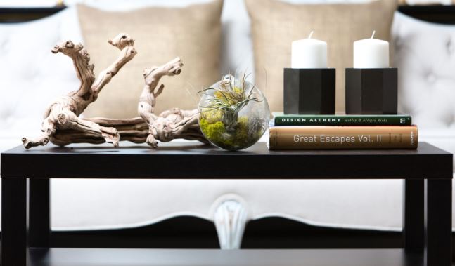 Coffee table vignette with driftwood, a moss terrarium, candles and stacked design books